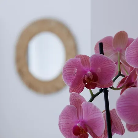 Couette-café Essentia & Relax Vasto