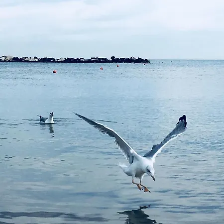 Essentia & Relax Couette-café 4*