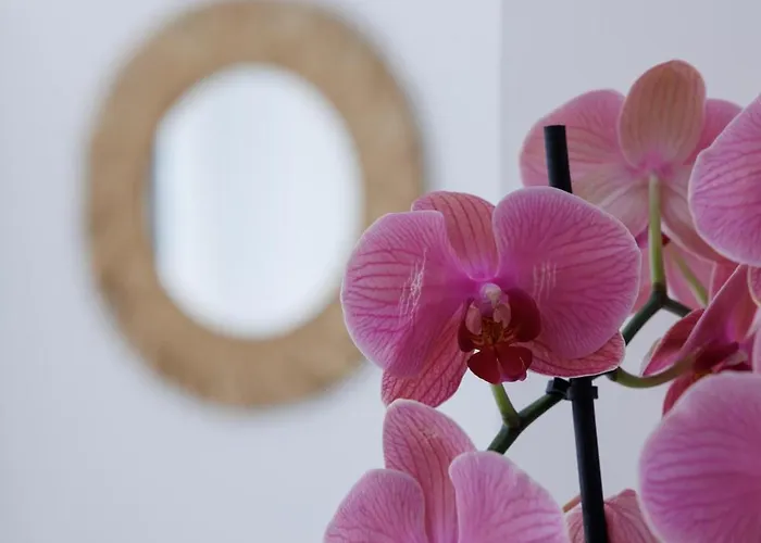 Bed and breakfast Essentia & Relax Vasto