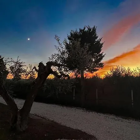 Essentia & Relax Alojamento de Acomodação e Pequeno-almoço 4*