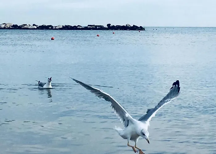 Essentia & Relax Bed & Breakfast 4*